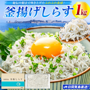 日間賀島 釜揚げしらす 1kg 【しらすしらす】