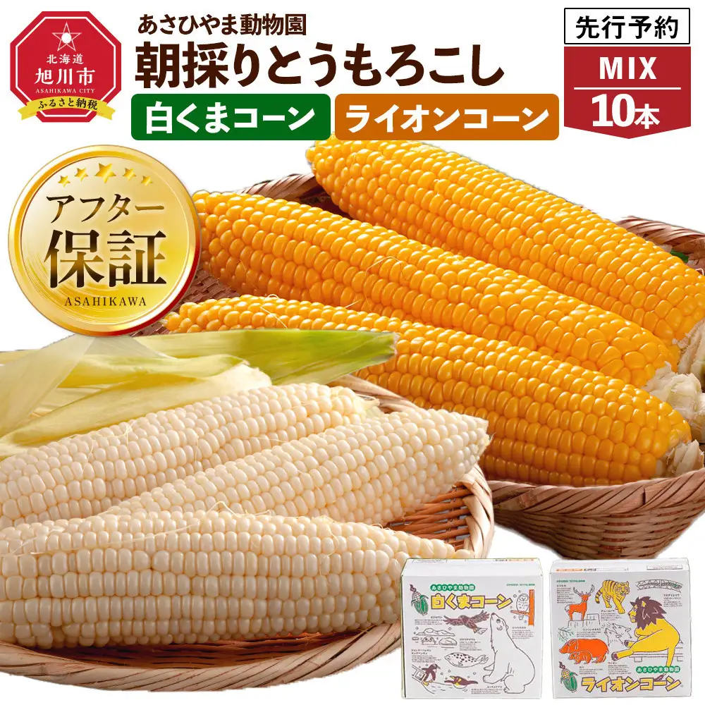 【先行予約】朝採りとうもろこしMIX10本 4kg あさひやま動物園 白くまとライオンのミックス（2026年8月中旬から発送開始）| とうもろこし 北海道 限定 _02157