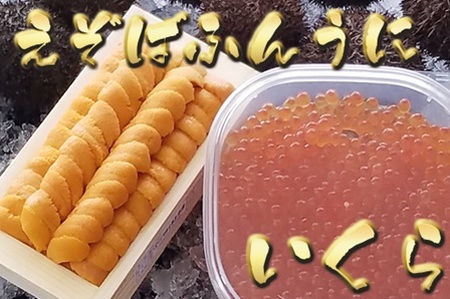 エゾバフンウニ100g×1折、いくら醤油漬け(鱒卵)150g×1P[11月中旬以降発送] D-71059