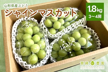 ぶどう（シャインマスカット）３～４房　合計１.８ｋｇ　0037-2604