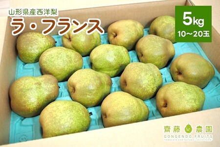 西洋梨（ラ・フランス）５ｋｇ　ご家庭用　0037-2609