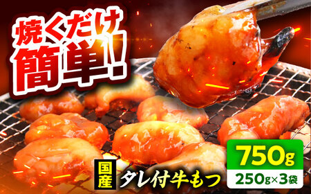 【小分け】 【秘伝のタレ付】 牛 もつ セット 4?5 人前｜小分け 3袋 計750g 国産 味噌 もつ鍋 焼肉 時短 簡単 小腸 国産牛 パーティー 冬 ホルモン おつまみ 真空 冷凍 大ぶり 簡単調理 グルメ 忘年会 コラーゲン しょうちょう 鍋 バーベキュー 焼き肉 牛肉 肉 もつ モツ 内臓 モツ鍋 もつなべ ギフト 味噌味 味噌スープ 味噌ベース 小浜市 タレ 味付き 味付 [BFAP007] 【配送不可地域：北海道・沖縄・離島】 