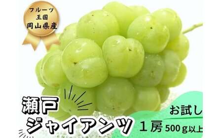 ※2026年の予約です！※ 【お試し】フルーツ王国岡山　朝採り新鮮！人気ぶどう瀬戸ジャイアンツ１房 離島発送不可 / ブドウ 真庭市 林ファミリー 【hfbd013-02】