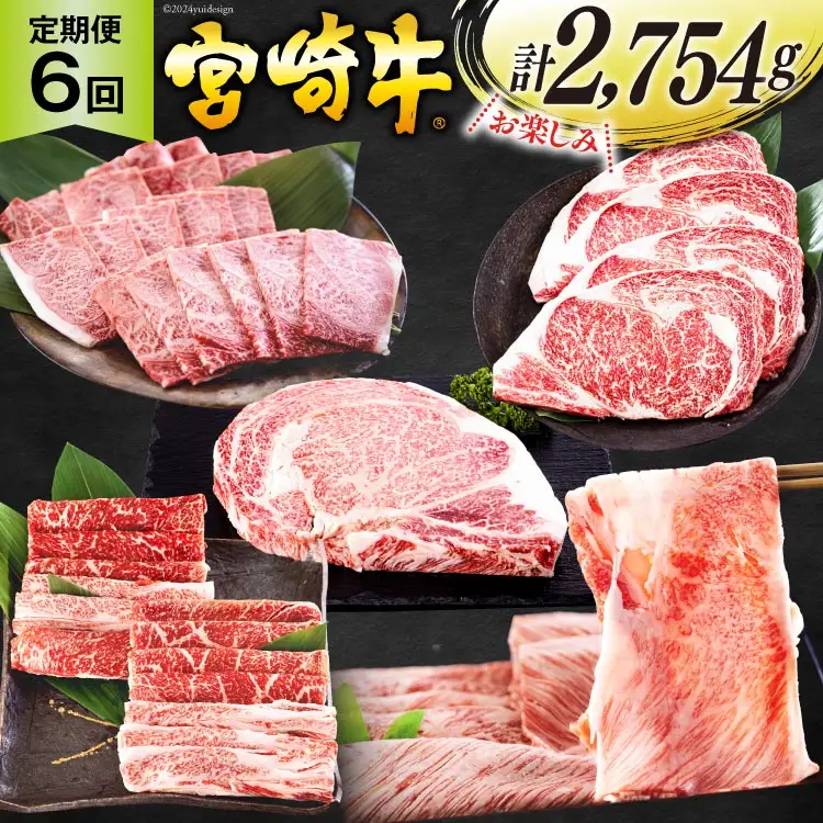 6回 定期便 宮崎牛 ロースステーキ 肩焼肉 ワンポンドステーキ もも バラ すき焼き 肩ロース 約3kg [日本ハムマーケティング 宮崎県 美郷町 31bd0024]