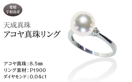 アコヤ真珠 リング 8.5mm 天成真珠 リング A795-114020