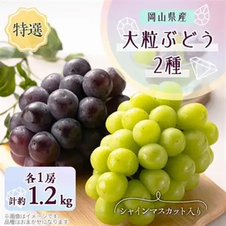 1062.【先行受付】特選大粒ぶどう2種セット(シャインマスカット入り)9月末～12月末発送予定【1488998】