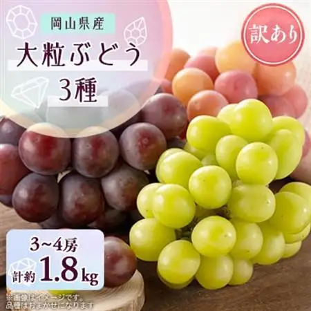 1064.【先行受付】訳あり大粒ぶどう3種セット(9月下旬～12月下旬発送予定)【1489000】