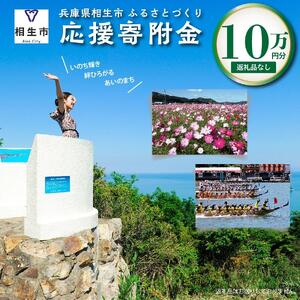 【返礼品なし】兵庫県相生市への寄付（100,000円分）
