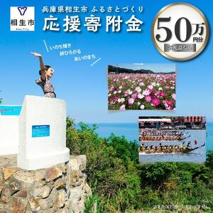 【返礼品なし】兵庫県相生市への寄付（500,000円分）