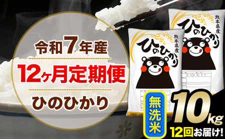令和7年産【12ヶ月定期便】無洗米 ひのひかり 10kg 5kg×2袋《お申込み翌月から出荷》｜人気米 熊本県産米 お米 生活応援米 