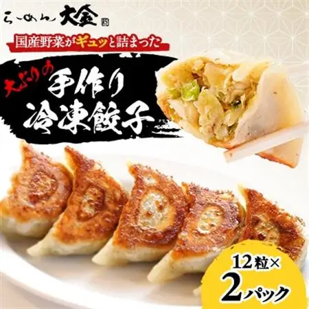 佐野ブランド認証品 らーめん大金の国産野菜がギュッと詰まった大ぶりの手作り冷凍餃子　12粒×2パック_惣菜・加工品 餃子  ぎょうざ ギョウザ_【配送不可地域：離島・沖縄県】【1421597】