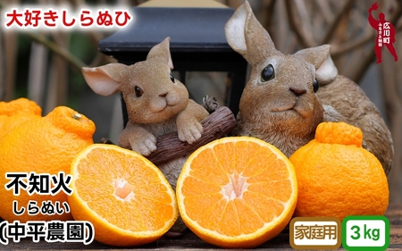 不知火 ( しらぬい ） 3kg 家庭用 (大好きしらぬい)　/ デコポン 甘い 和歌山 有田 柑橘 産地直送 農家直送 手選果 ※2027年2月中旬～3月下旬に順次発送予定  【nkh010-c-3A】