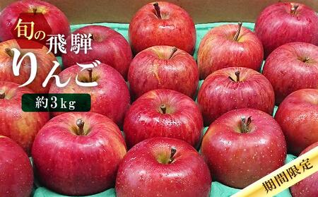 【先行予約 9月中旬～1月下旬発送】飛騨高山産 山本果樹園 旬の飛騨りんご 約3kg(8個～11個）| りんご 果物 フルーツ おいしい 大容量 飛騨高山 山本果樹園 MA002