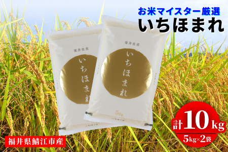 令和7年産 いちほまれ 10kg（5kg × 2袋）