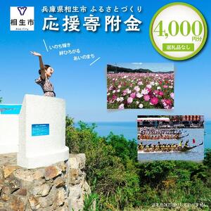 【返礼品なし】兵庫県相生市への寄付（4,000円分）
