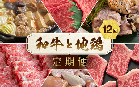 【12回定期便】鶏肉 和牛と地鶏 訳あり鶏肉