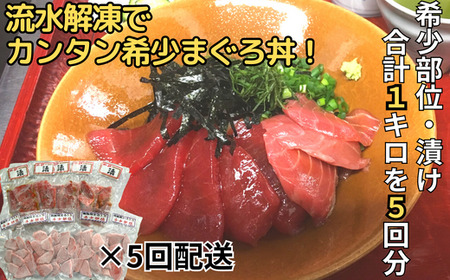 【全5回定期便】天然！三崎 まぐろ漬け ・ 希少部位（ 背トロ ）の まぐろ丼 セット ＜ 流水解凍 で 簡単 ＞ M005-T05 冷凍 マグロ 定期便