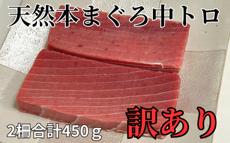 天然本鮪 中トロサク（ 訳アリ ）2柵 M081-004-03 【 訳あり 】 冷凍 マグロ