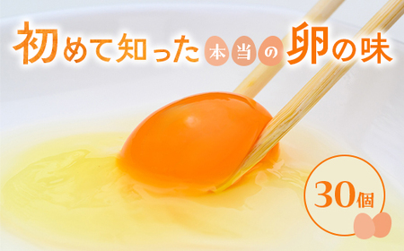 小久保ファーム　濃厚卵黄　産みたてたまご　赤玉30個入り（M玉） _EI01