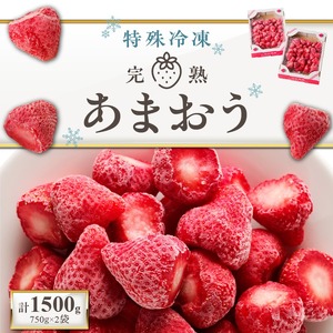旬のおいしさそのまま！池田農園の特殊冷凍あまおう1.5kg_池田農園 特殊 冷凍 完熟 あまおう 1.5kg  糖度 酸度 バランス 旬 おいしさ そのまま アートロックフリーザー 急速冷凍 サクサク 食感 福岡エコ農産物認定 こだわり 管理 真空パック デザート 果物 いちご グルメ お取り寄せ 福岡県 久留米市 送料無料  〔Fi213〕