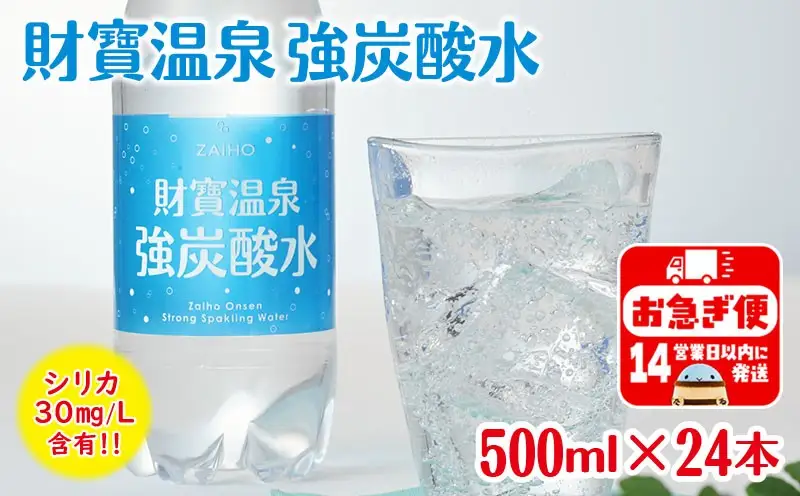 W-22202／財寶温泉強炭酸水 500ml×24本