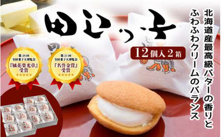 銘菓 田辺っ子（たなべっこ）12個入り×2箱 / 銘菓 お菓子 スイーツ 和菓子 個包装 小分け プレゼント ギフト ご家庭用 贈答 和歌山 バター クリーム お土産 お取り寄せ 田辺市【shd002-1】