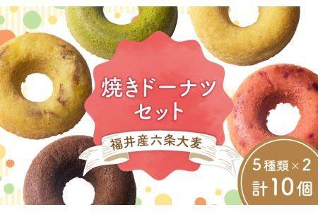 福井産六条大麦焼きドーナツセット（5種類×2 計10個） [A-034001] 