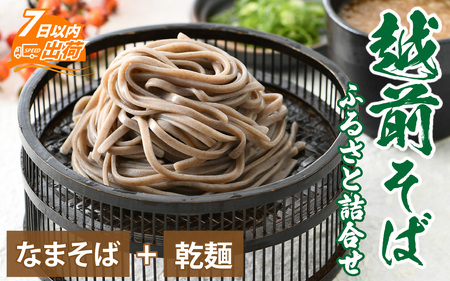 越前そばふるさと詰合せ 合計6食 [A-120001] / そば