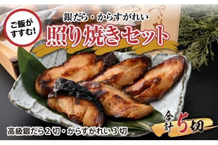 魚屋が作った 高級銀だら2切・からすがれい3切の照り焼きセット [A-065009]