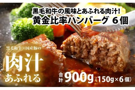 黄金比率ハンバーグ　6個セット [A-015004] / ハンバーグ
