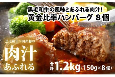 黒毛和牛入りハンバーグ 約150g×8個 [A-015007] / ハンバーグ