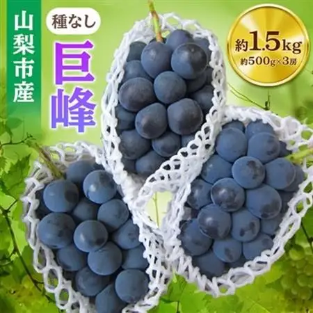 【2026年発送】山梨市産「巨峰(種なし)」詰め合わせ(約500g×3房)【配送不可地域：離島・沖縄県】【1117300】