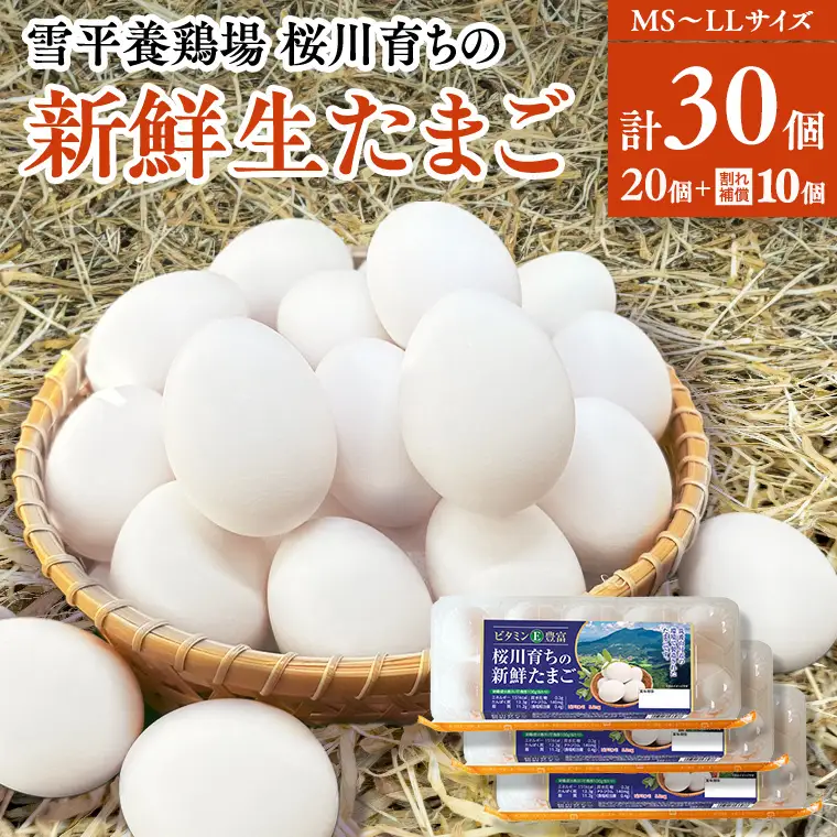 雪平養鶏場 桜川育ちの 新鮮 たまご 合計30個（20個＋10個割れ補償付