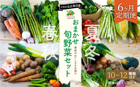 【6ヶ月定期便】 おまかせ旬野菜セット 旬 野菜 セット 北海道 北広島市