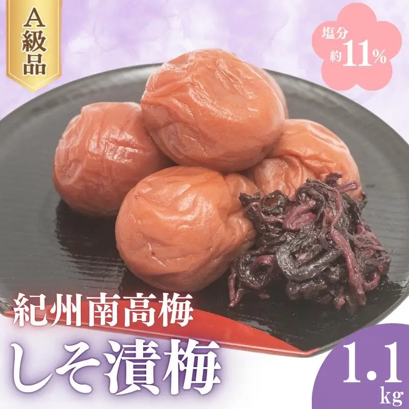 しそ漬梅（塩分約11％）1.1ｋｇ  / 田辺市 紀州南高梅 南高梅 梅干し 梅干 梅 うめ 肉厚 お米 おにぎり 焼酎 梅酒 健康 しそ 紫蘇 しそ漬け【fuz007-1】