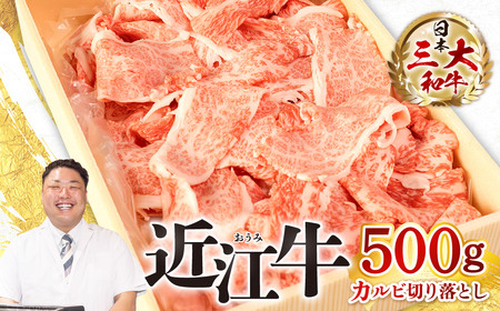 近江牛 カルビ 切り落とし 500g 株式会社びわこフード 滋賀県 東近江市 A-F08 近江牛 焼肉 すき焼き 牛丼 肉じゃが 500g A4 A5 霜降り 和牛 高級 国産 ブランド牛