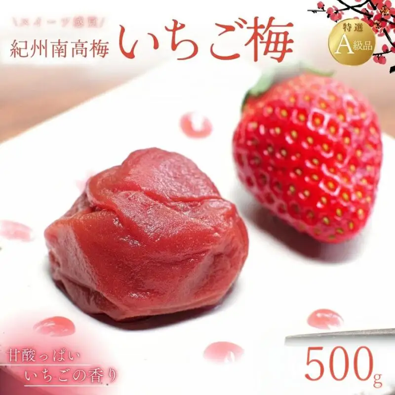 紀州南高梅 いちご梅 500g  / 紀州南高梅 南高梅 梅干し 梅干 梅 うめ 和歌山 田辺市 肉厚 お米 おにぎり 焼酎 梅酒 健康 いちご梅 産地直送【nkn008-3】