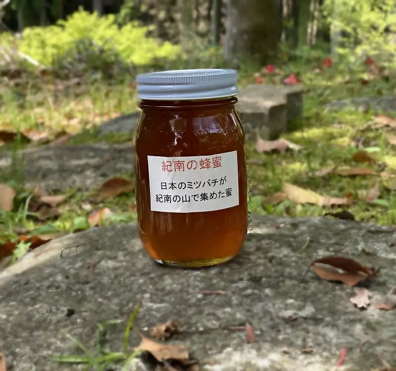 純粋日本蜂蜜（紀南の蜂蜜）　600g  / 田辺市 はちみつ ハチミツ 蜂蜜  無添加 国産 山蜜【nts008】