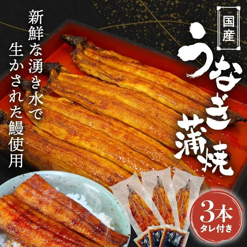 国産うなぎ蒲焼（3本）タレ付き / うなぎ 鰻 ウナギ 和歌山 田辺市 国産 国産うなぎ 国産鰻 うなぎ 鰻 鰻丼 うな丼 土用の丑の日 【ots017】