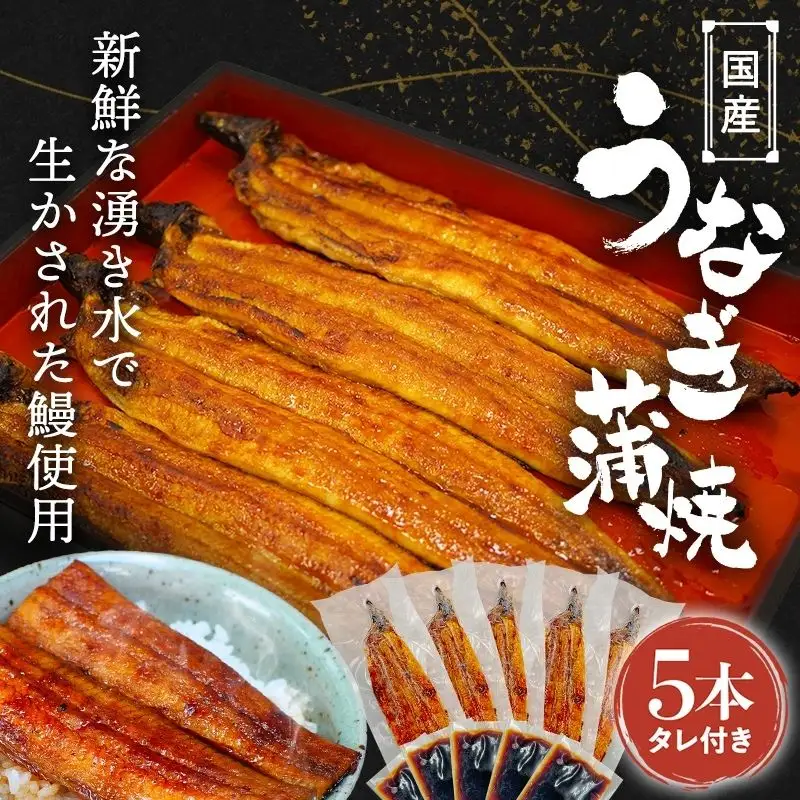  国産うなぎ蒲焼（5本）タレ付き うなぎおむすび付（数量限定） /  うなぎ 鰻 ウナギ 和歌山 田辺市 国産 国産うなぎ 国産鰻 うなぎ 鰻 鰻丼 うな丼 土用の丑の日  【ots018】