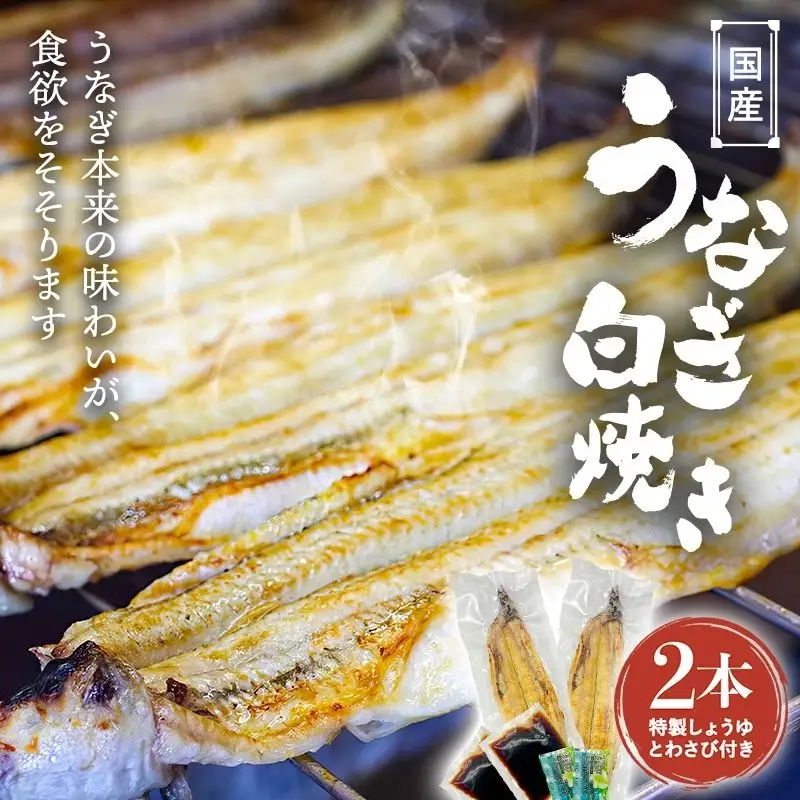 国産うなぎ白焼（２本） /  和歌山 田辺市 国産 国産うなぎ 国産鰻 うなぎ 鰻 鰻丼 うな丼 土用の丑の日 【ots019】