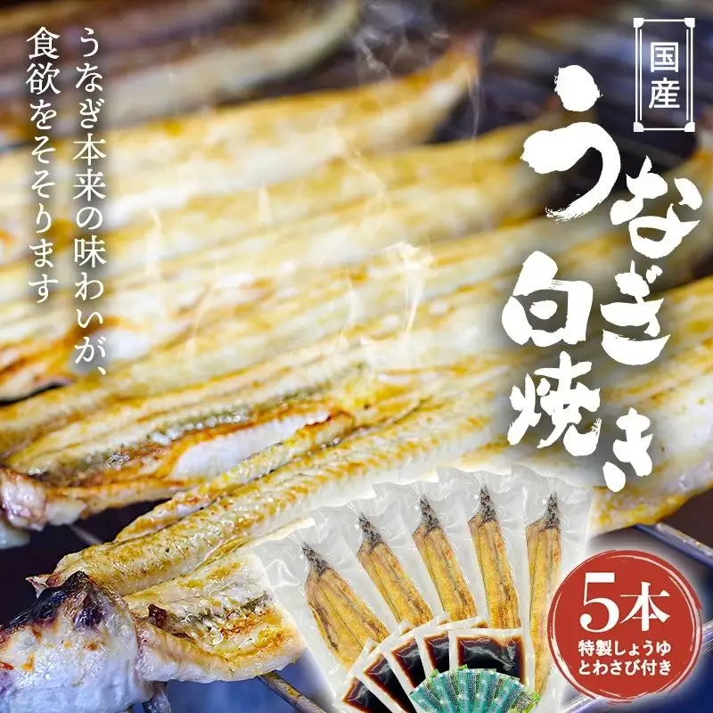 国産うなぎ白焼（5本） / 和歌山 田辺市 国産 国産うなぎ 国産鰻 うなぎ 鰻 鰻丼 うな丼 土用の丑の日【ots021】