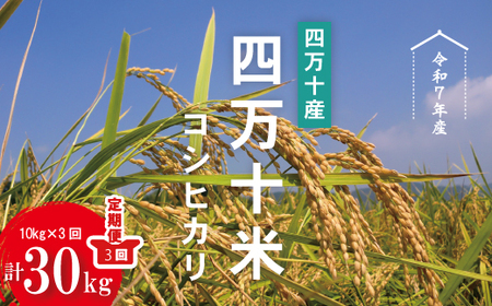 令和7年産 3回 定期便 四万十産 四万十米 コシヒカリ 10kg （5kg×2袋）×3回（計30kg） 国産 こしひかり コシヒカリ 30kg 2025年 精米 白米 米 おこめ こめ コメ ご飯 ごはん 四国 高知 四万十 しまんと R7-946