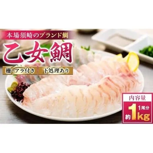 【 鯛 】 乙女鯛 アラ付き 1kg