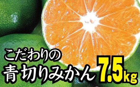  【2026年秋頃発送予約分】【農家直送】こだわりの青切りみかん 約7.5kg サイズお任せ 有機質肥料100%　※2026年9月下旬より順次発送予定（お届け日指定不可）/ミカン 蜜柑 柑橘 フルーツ くだもの 果物 【nuk107F】