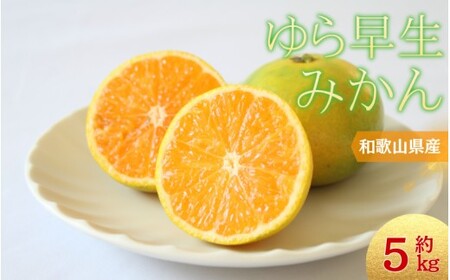 ＼光センサー選別／＼農家直送／甘くて濃厚！希少品種 ご家庭用 ゆら早生みかん　約5kg　サイズ混合　※2026年10月末で申込締切 /ミカン 蜜柑 柑橘 フルーツ くだもの 果物 早生 温州 【nuk109F】