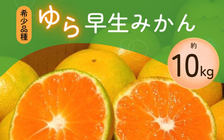 ＼光センサー選別／＼農家直送／甘くて濃厚！希少品種 ご家庭用 ゆら早生みかん  約10kg　サイズ混合　※2026年10月末で申込締切/ミカン 蜜柑 柑橘 フルーツ くだもの 果物 早生 温州 【nuk110D】