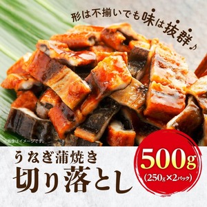 うなぎ蒲焼き切り落とし 徳用500g_うなぎ 蒲焼き 切り落とし250g × 2 計 500g 訳あり 端材 不揃い カット済み 便利 冷凍 切り身 う巻き お茶漬け おにぎり お蕎麦 魚介類 食品 惣菜 お取り寄せ 福岡県 久留米市 送料無料 〔Cu033〕