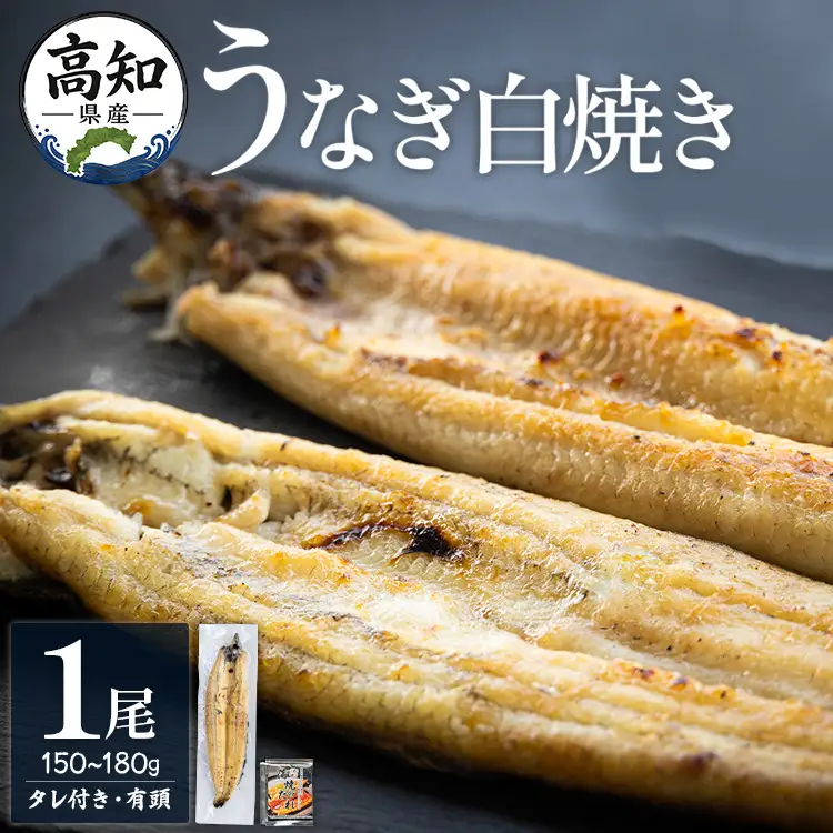 高知県産うなぎの白焼き 150～180ｇ×1尾 - エコ包装 国産 うなぎ 白焼き 鰻 冷凍 高知 yw-0113