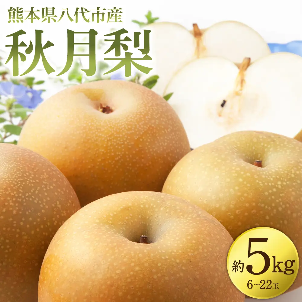 【先行予約】 秋月梨 約5kg (6～22玉)  梨 なし ナシ フルーツ くだもの 果物 旬 熊本県 八代市 【2026年8月下旬より順次発送】